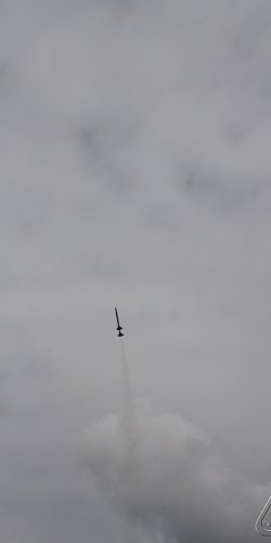 2013 Svojek Mirek Topinka